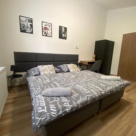Cerna Ruze - Apartman 7 Pilzno Zewnętrze zdjęcie