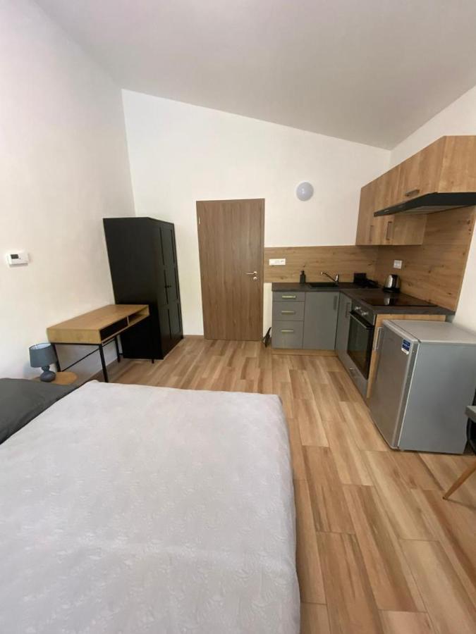 Cerna Ruze - Apartman 7 Pilzno Zewnętrze zdjęcie