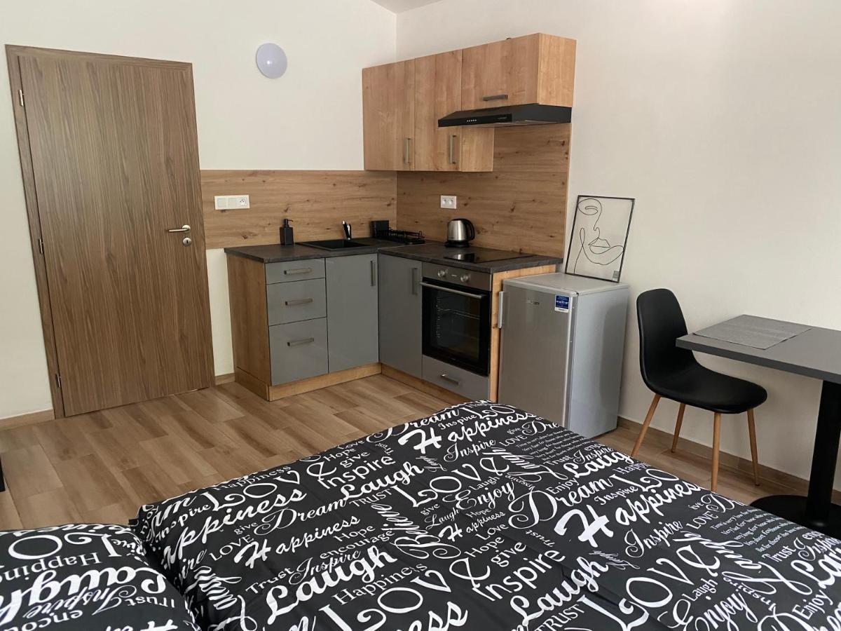 Cerna Ruze - Apartman 7 Pilzno Zewnętrze zdjęcie