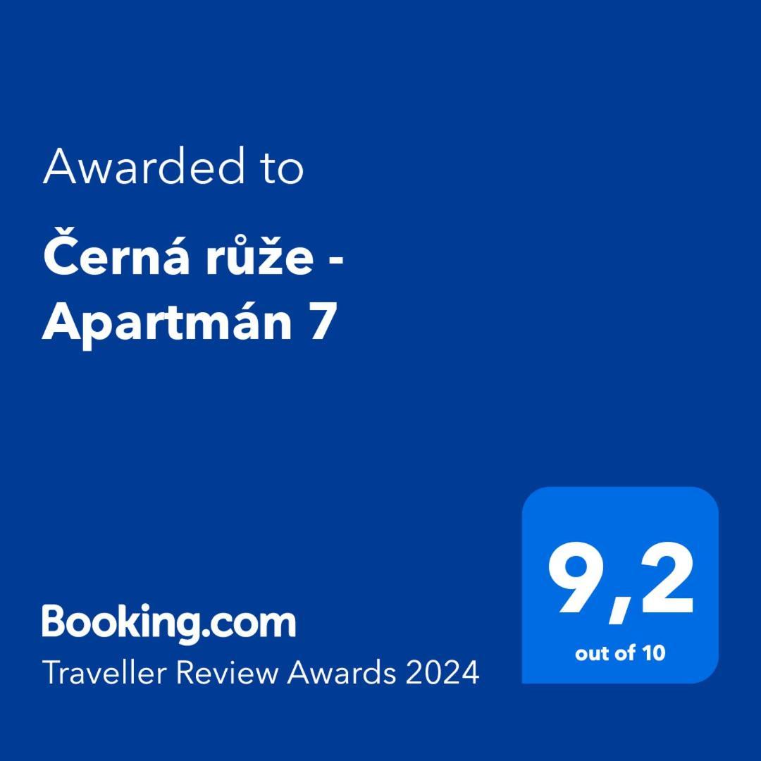 Cerna Ruze - Apartman 7 Pilzno Zewnętrze zdjęcie